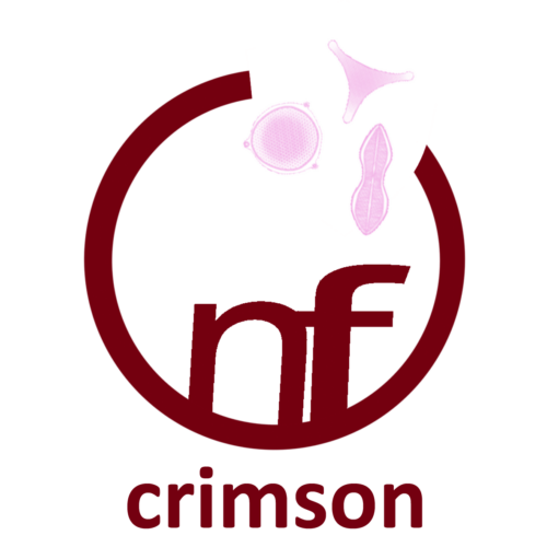 nf-LOGO crimson